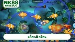 ban-ca-xeng
