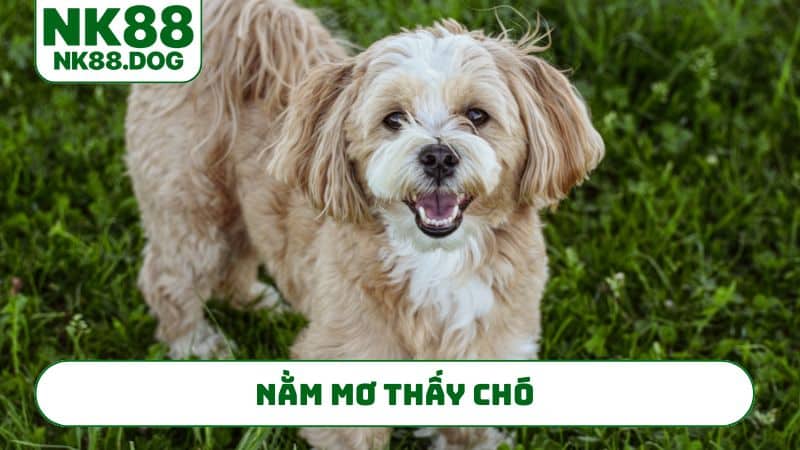 nam-mo-thay-cho